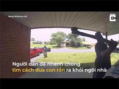 Rắn trốn sau cửa cắn vào mặt khách tới nhà