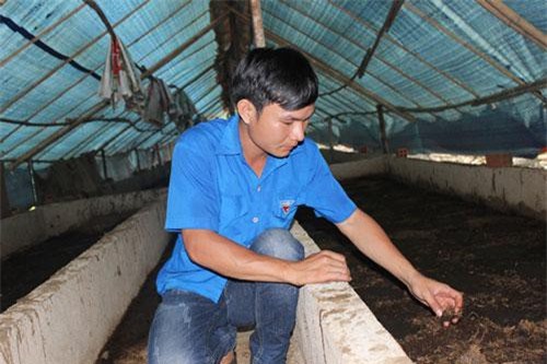 Bình Phước: Kỹ sư bỏ phố về quê “bốc phân” nuôi con “lúc nhúc” làm giàu