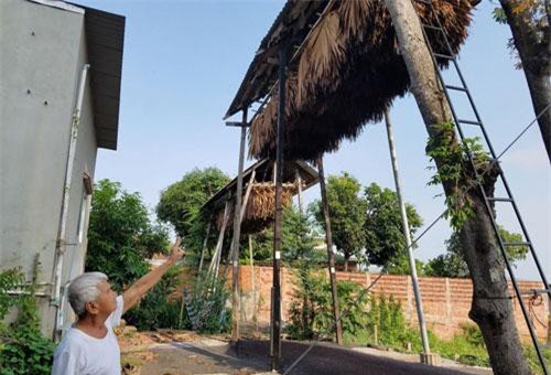 Làng nuôi loài thú biết bay - "ngồi mát ăn bát vàng" ở An Giang