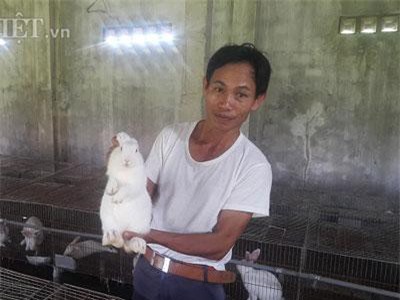 Thanh Hóa: Nuôi thỏ bắt ăn kham khổ, bán đắt như tôm tươi