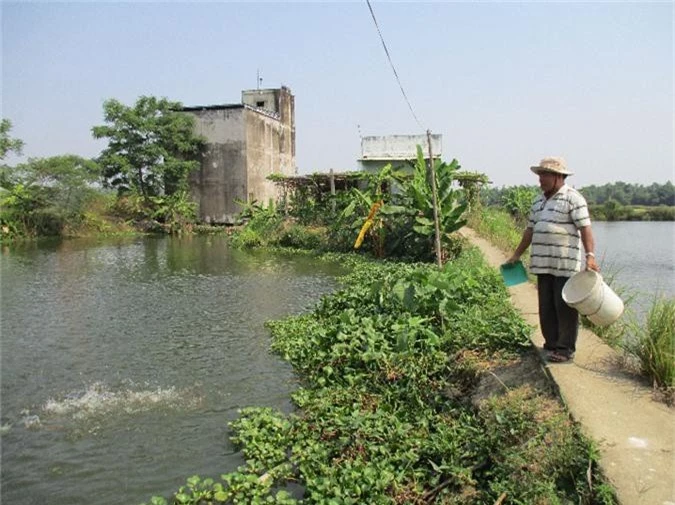 quang nam: dung sy diet my gio xay duoc 