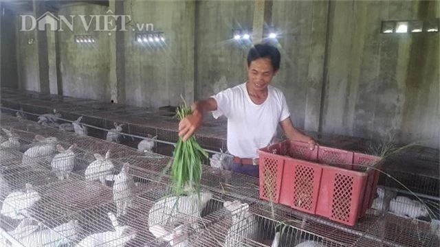 lam giau o nong thon: nuoi tho bat an kham kho, ban dat nhu tom tuoi hinh anh 3