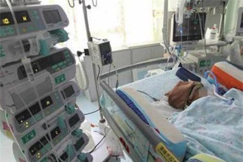 Yêu cầu bồi thường chỉ vì một quả táo rơi vào đầu