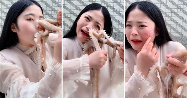 Gái xinh quay clip ăn bạch tuộc sống câu người xem và cái kết đắng