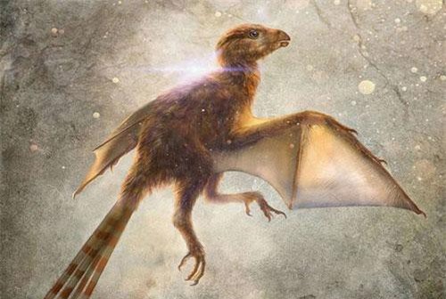 Loài khủng long tí hon với đôi cánh giống như loài dơi hiện đại