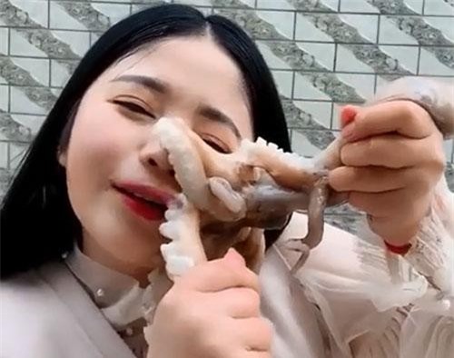 CLIP: Livestream ăn bạch tuộc sống "câu like", cô gái trả giá đắt