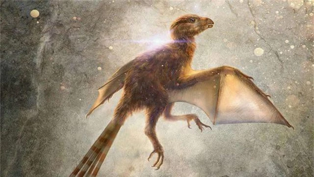 Loài khủng long tí hon với đôi cánh giống như loài dơi hiện đại - 1