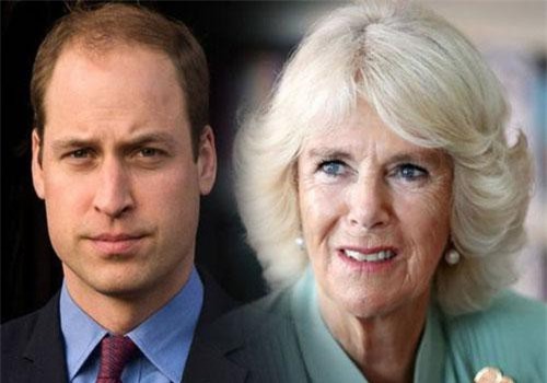 Hoàng tử William đến tận bây giờ vẫn không chấp nhận mẹ kế Camilla, nguyên nhân từ một cuộc gặp bí mật sau khi Công nương Diana qua đời