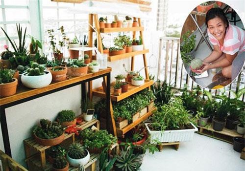 Từ những chậu hoa bị bỏ đi, ca sĩ Phương Vy Idol đã tạo nên khu vườn xanh tốt tại nhà