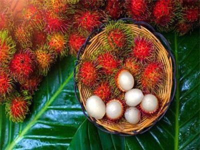 Khám phá lợi ích và công dụng tuyệt vời của quả chôm chôm