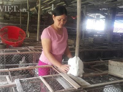 Nam Định: Người đàn bà dựng cơ đồ với ngàn con thỏ