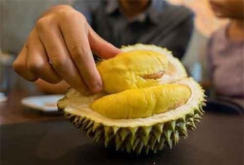 Hơn 500 người Australia sơ tán vì... mùi sầu riêng