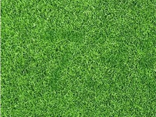 'Hoa mắt' đi tìm lời giải cho câu đố này