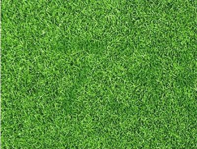 Đáp án câu đố 'hoa mắt' mới tìm lời giải