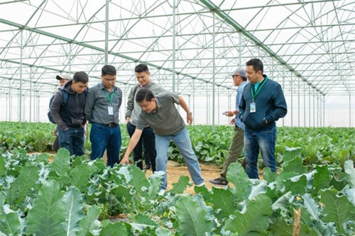 Liên kết chuỗi cung cấp giải pháp giúp nông dân sản xuất sạch