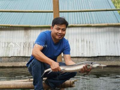 Hà Giang: Trai Hà thành bỏ nghề giáo viên, "bén duyên" với cá..."tên lửa"