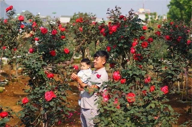 bo viec nha bang ve trong hoa hong, 9x lai chau kiem bon tien hinh anh 2