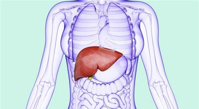 Chuyên gia chỉ ra một số căn bệnh có thể chẩn đoán thông qua mùi hôi trên cơ thể - Ảnh 1.