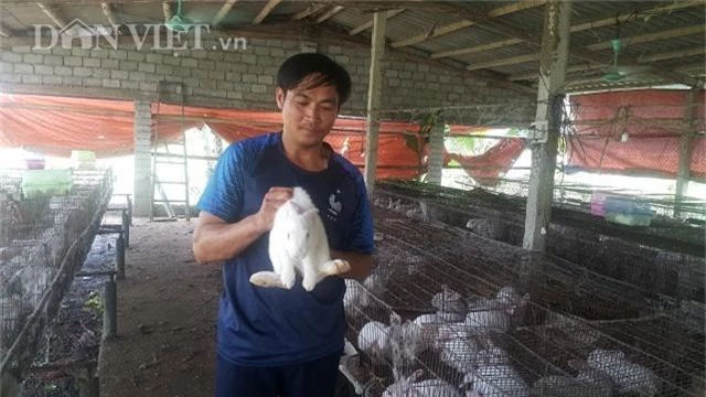 la ma hay: tren nuoi tho duoi nuoi giun, tien nhieu bat ngo hinh anh 1