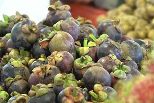 Trà Vinh: Trái cây đặc sản được mùa, được giá