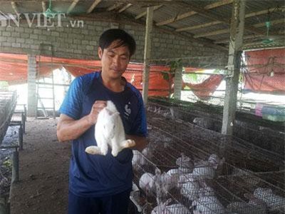 Thanh Hóa: Trên nuôi thỏ dưới nuôi giun, tiền nhiều bất ngờ