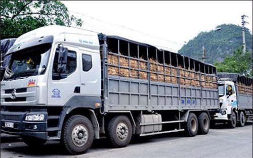 Lạng Sơn: Phân luồng giao thông, đảm bảo hàng hóa xuất khẩu thông suốt