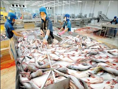 Thủy sản Việt Nam: Làm gì để không bị “thẻ đỏ“?