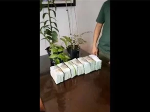 Clip: Mua chậu lan 3,5 tỷ, đại gia Hà Tĩnh khiến nhiều người choáng váng vì mức độ 'chịu chơi'