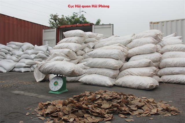 Hải Phòng: Phát hiện hơn 8 tấn vảy tê tê vận nhập lậu về cảng