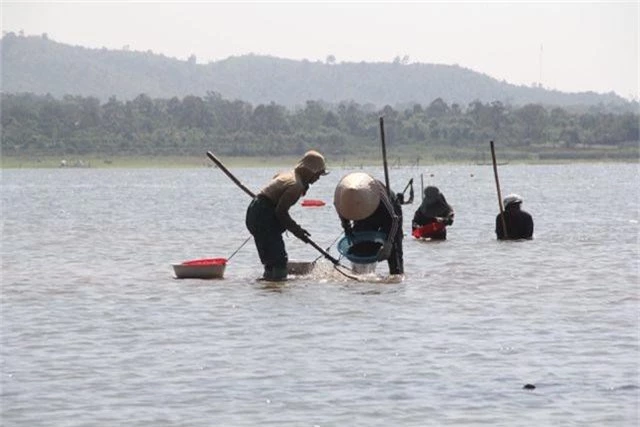 Đổ xô đi đãi hến mùa nước cạn ở hồ Ea Kao - 1