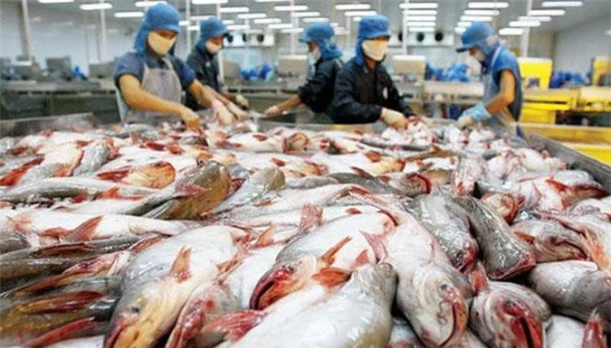 Từ trước đến nay Nhật Bản chưa lần nào lọt vào top 10 thị trường nhập khẩu lớn cá tra Việt Nam. 