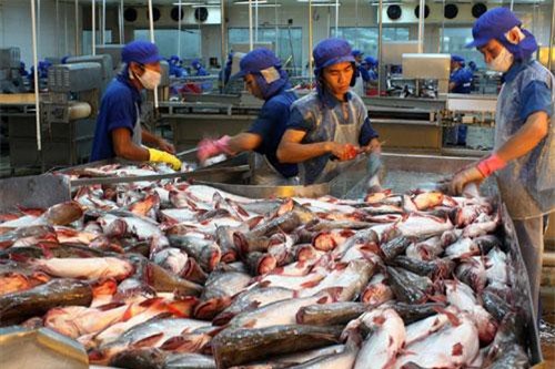 Cá tra Việt bán chạy tại Nhật Bản