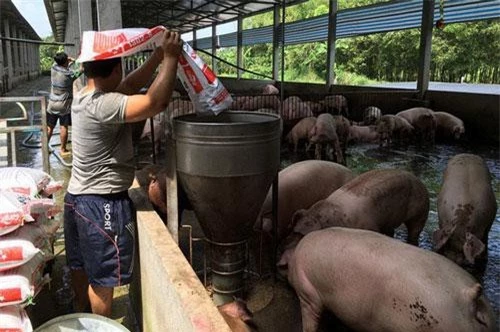 (Ảnh minh họa: Báo điện tử Đảng Cộng sản Việt Nam).