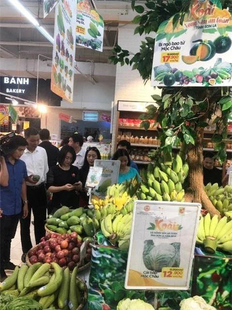 Xoài và các nông sản an toàn Sơn La được giới thiệu bắt mắt trong siêu thị Big C
