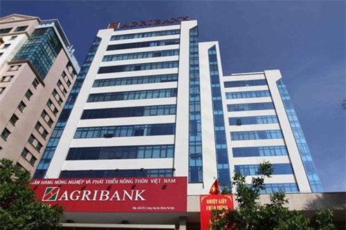 Agribank dành gần 1.200 tỷ đồng hỗ trợ doanh nghiệp lúa gạo