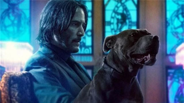 Không cần doanh thu khủng, Keanu Reeves biết ơn vì có “John Wick 3” - Ảnh 1.