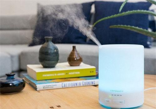 Những sản phẩm làm sạch không khí nên có trong gia đình