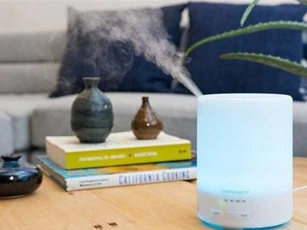 Những sản phẩm làm sạch không khí nên có trong gia đình