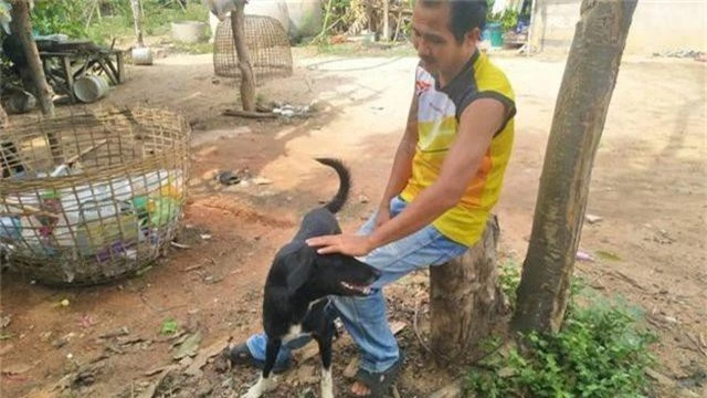 Thái Lan: Chú chó què gây bão vì cứu bé sơ sinh bị mẹ chôn sống - 2