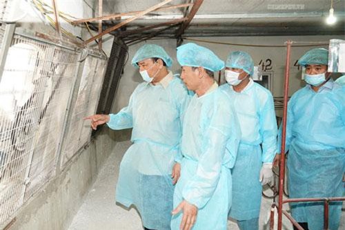 Thủ tướng kiểm tra, đôn đốc công tác phòng, chống dịch tả lợn châu Phi