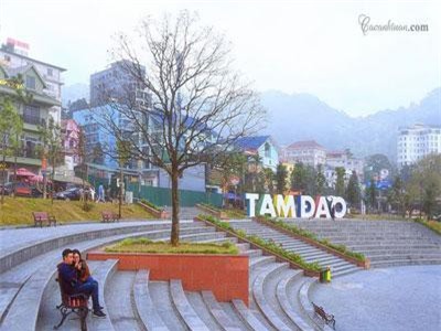 Rủ nhau lên Tam Đảo “giải nhiệt” giữa ngày hè nắng 40 độ C