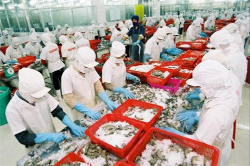 Nhân dân tệ mất giá ảnh hưởng bất lợi đến xuất khẩu thủy sản Việt Nam