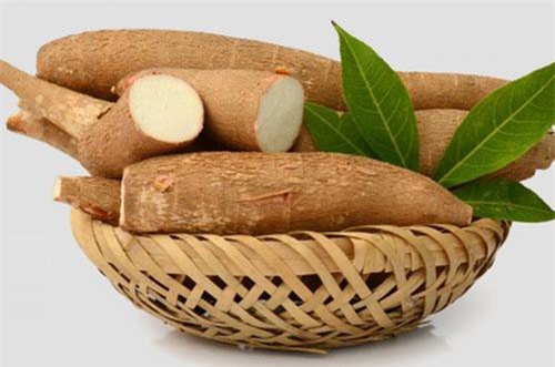 Xuất khẩu sắn và sản phẩm từ sắn sang Hàn Quốc tăng gấp đôi trong 4 tháng đầu năm