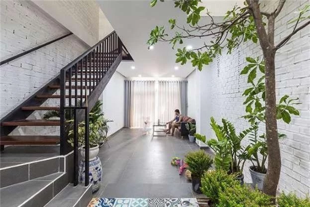 Những loại cây nên trồng ở giếng trời giúp không khí trong lành và tốn ít công chăm sóc - Ảnh 10. Những loại cây nên trồng ở giếng trời giúp không khí trong lành và tốn ít công chăm sóc - Ảnh 10.