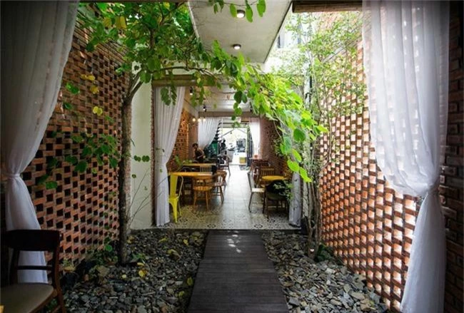 Những loại cây nên trồng ở giếng trời giúp không khí trong lành và tốn ít công chăm sóc - Ảnh 5. Những loại cây nên trồng ở giếng trời giúp không khí trong lành và tốn ít công chăm sóc - Ảnh 5.