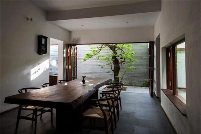 Những loại cây nên trồng ở giếng trời giúp không khí trong lành và tốn ít công chăm sóc - Ảnh 6. Những loại cây nên trồng ở giếng trời giúp không khí trong lành và tốn ít công chăm sóc - Ảnh 6.