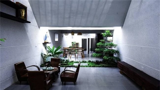 Những loại cây nên trồng ở giếng trời giúp không khí trong lành và tốn ít công chăm sóc - Ảnh 8. Những loại cây nên trồng ở giếng trời giúp không khí trong lành và tốn ít công chăm sóc - Ảnh 8.