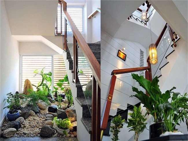 Những loại cây nên trồng ở giếng trời giúp không khí trong lành và tốn ít công chăm sóc - Ảnh 9. Những loại cây nên trồng ở giếng trời giúp không khí trong lành và tốn ít công chăm sóc - Ảnh 9.