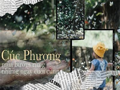 Chuyến đi Cúc Phương những ngày cuối mùa bướm rừng: Chốn thần tiên có vẻ đẹp riêng của sự muộn màng