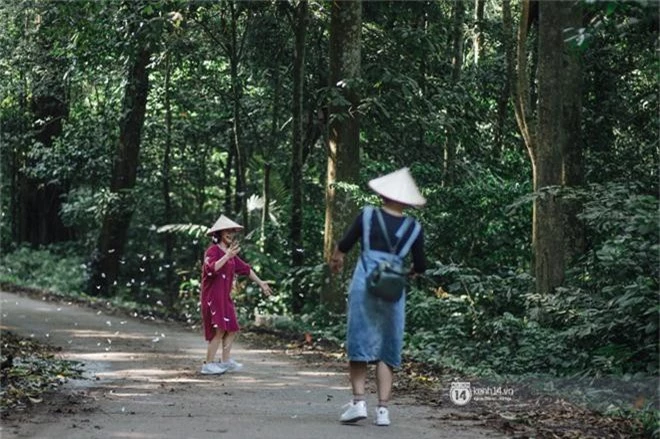 Chuyến đi Cúc Phương những ngày cuối mùa bướm rừng: Chốn thần tiên có vẻ đẹp riêng của sự muộn màng - Ảnh 5.